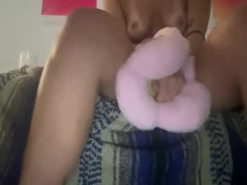 Cam for secretvideoos